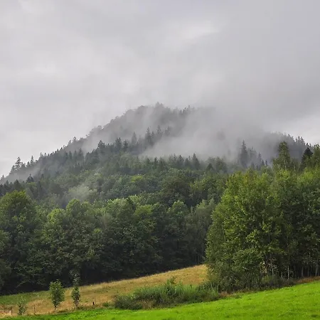 Semesterbostad Karkonoska Polana *