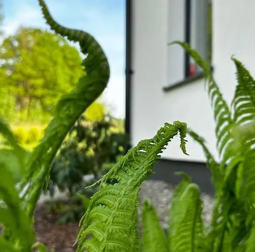 Karkonoska Polana Holiday home