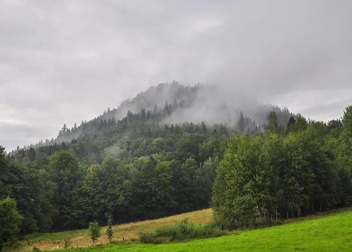 Semesterbostad Karkonoska Polana *